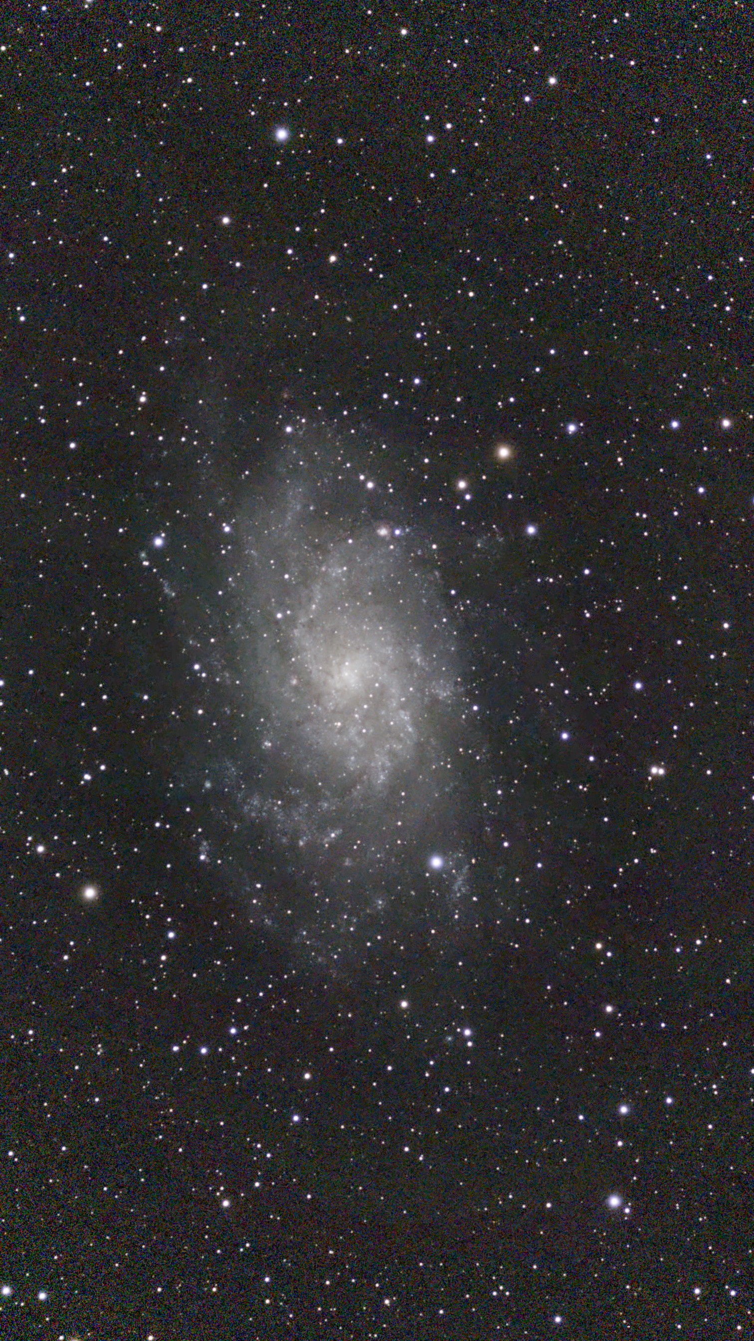 Galaxie spirale M33 dans la constellation du Triangle - Bernard Côté