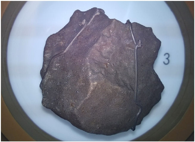 MeteoriteStRobertVStelluti