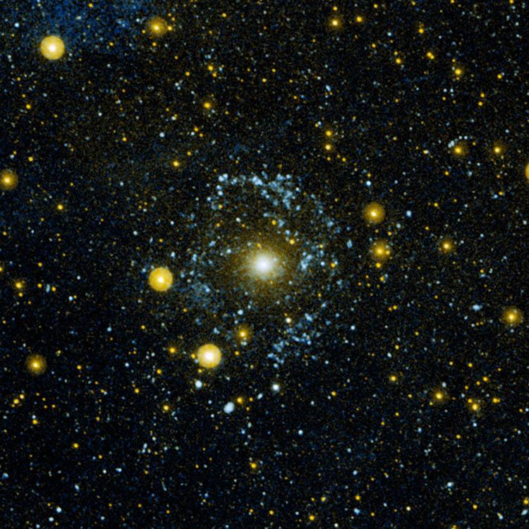 NGC404