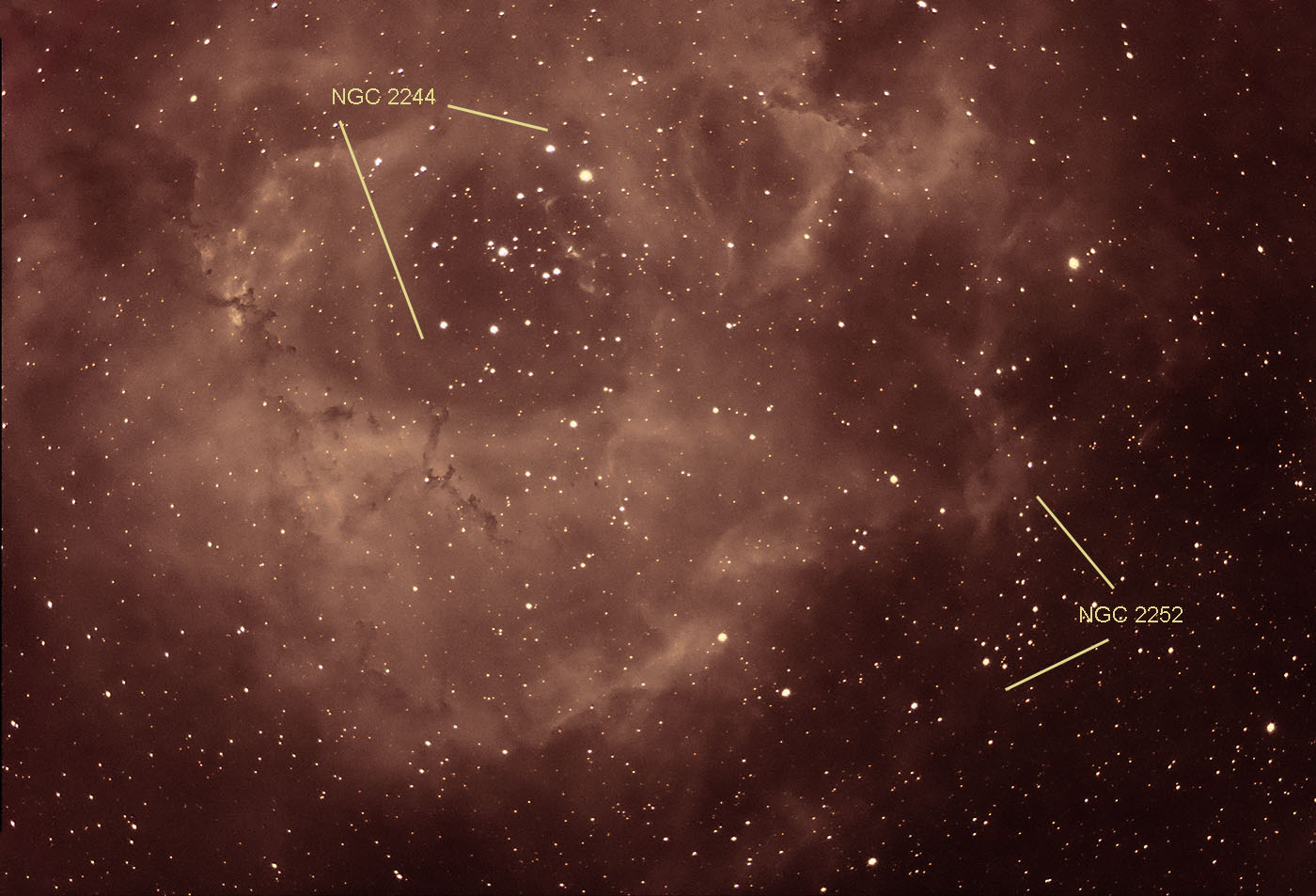 RosetteNGC2252NGC2244DBrousseau