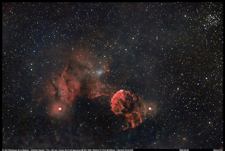 43IC443NParr