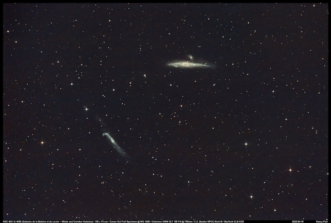 NGC4631et4656NancyParr