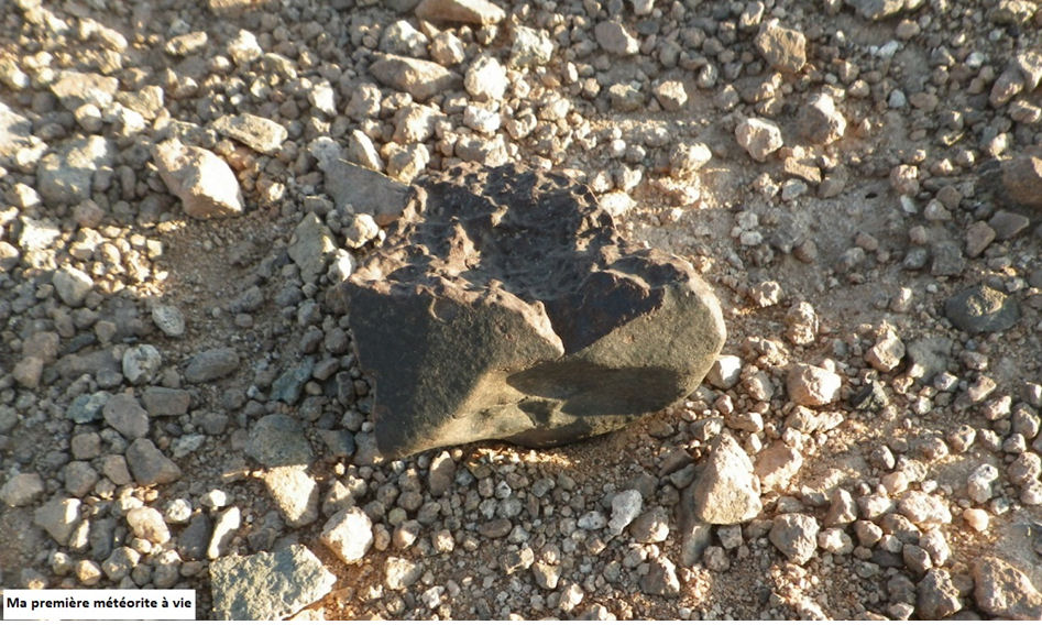 MMapremieremeteoriteavie