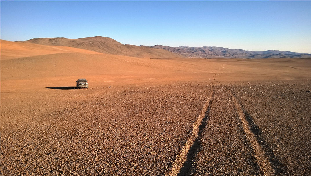 Terrain